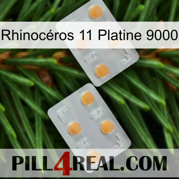 Rhinocéros 11 Platine 9000 25